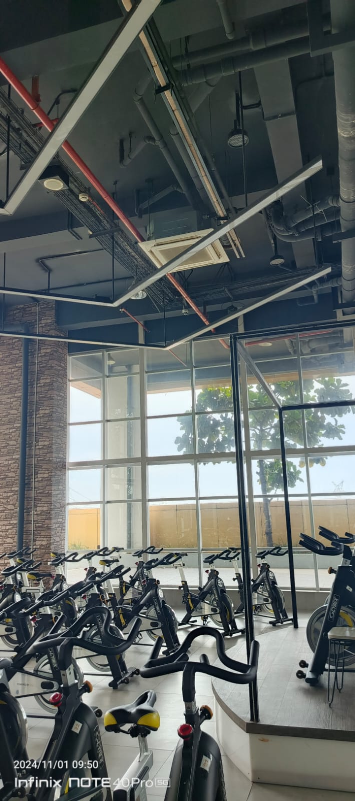 gym